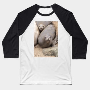 Elephant Seals Baseball T-Shirt